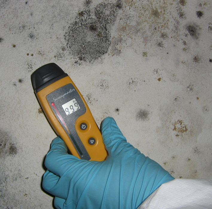 Mold Testing in Minnesota