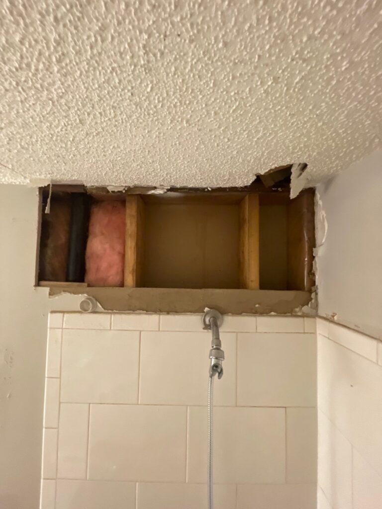 mold remediation wyoming mn