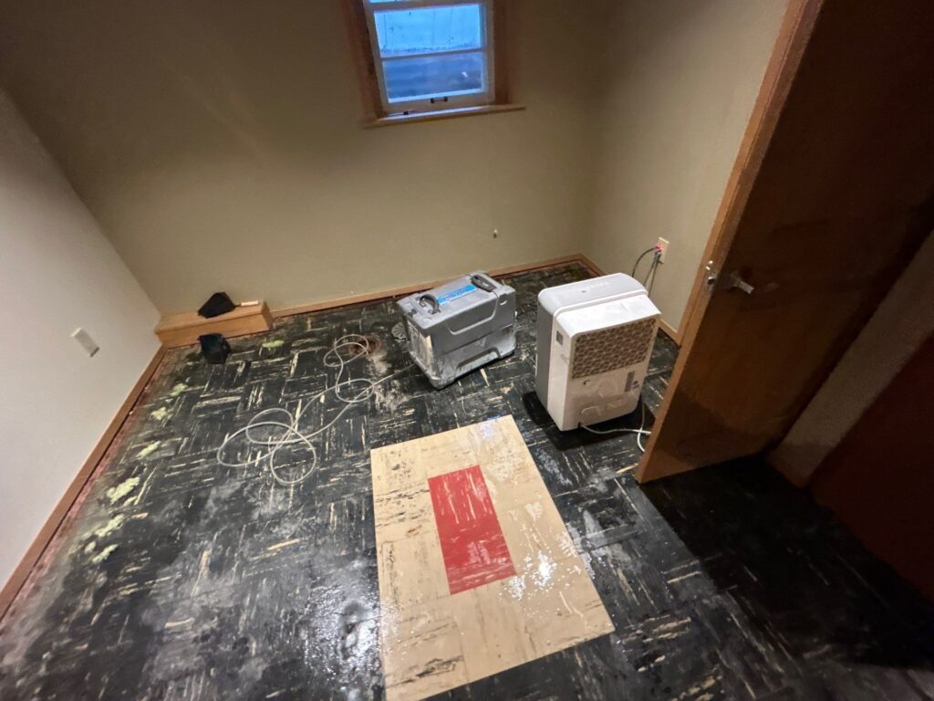 mold remediation minneapolis mn
