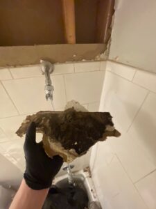mold remediation wyoming mn