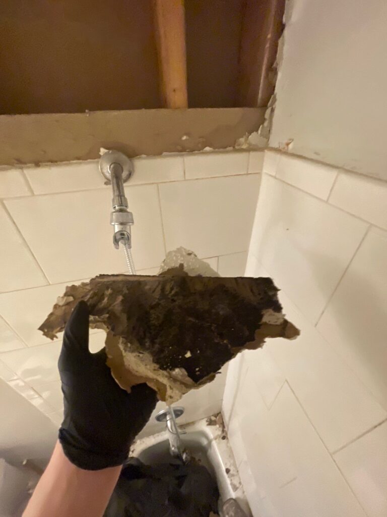 mold remediation wyoming mn