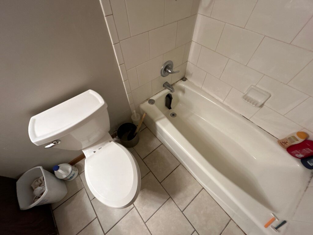 mold remediation wyoming mn