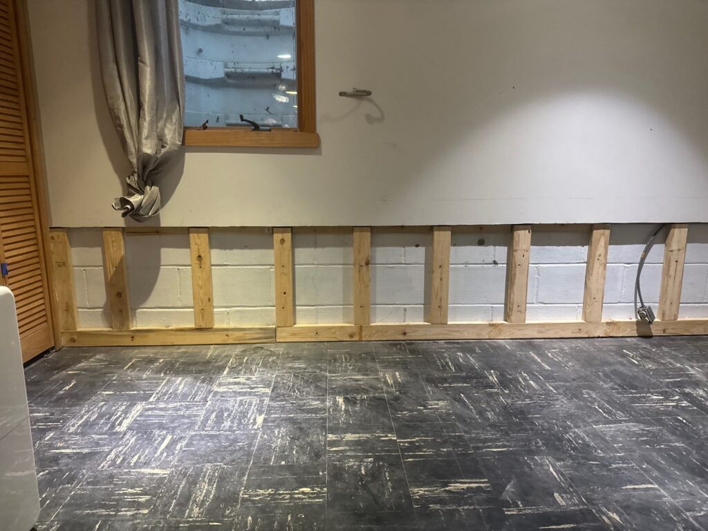 mold remediation minneapolis mn