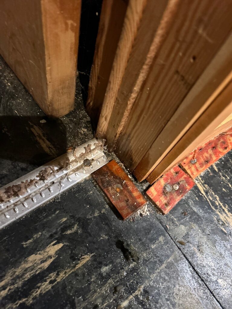 mold remediation minneapolis mn