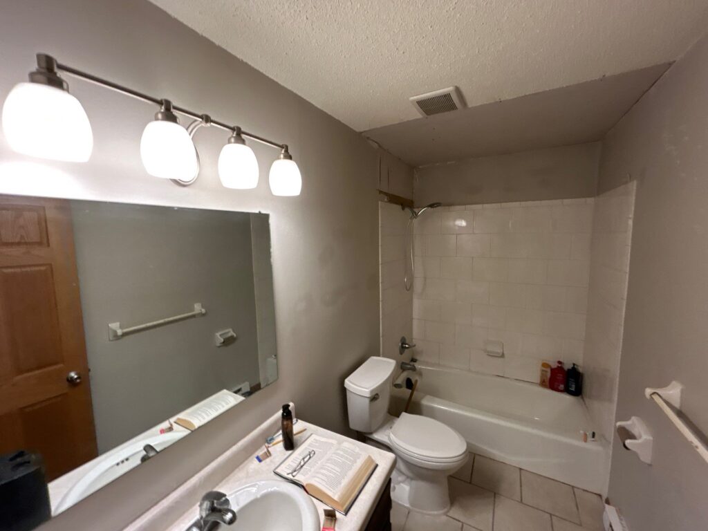 mold remediation wyoming mn
