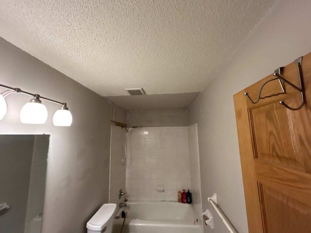 mold remediation wyoming mn
