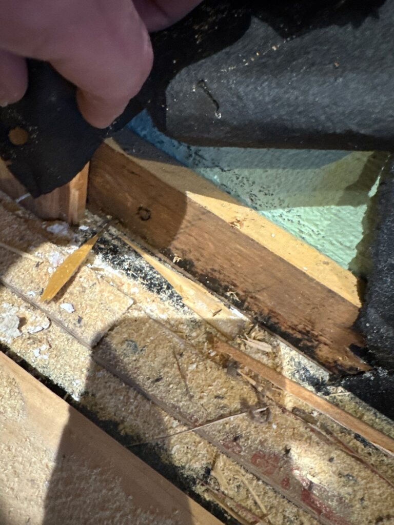 mold remediation minneapolis mn