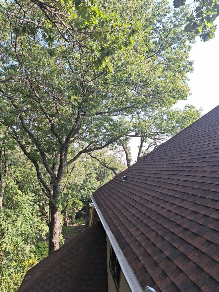 roof replacement apple valley