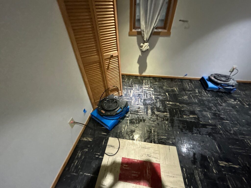 mold remediation minneapolis mn