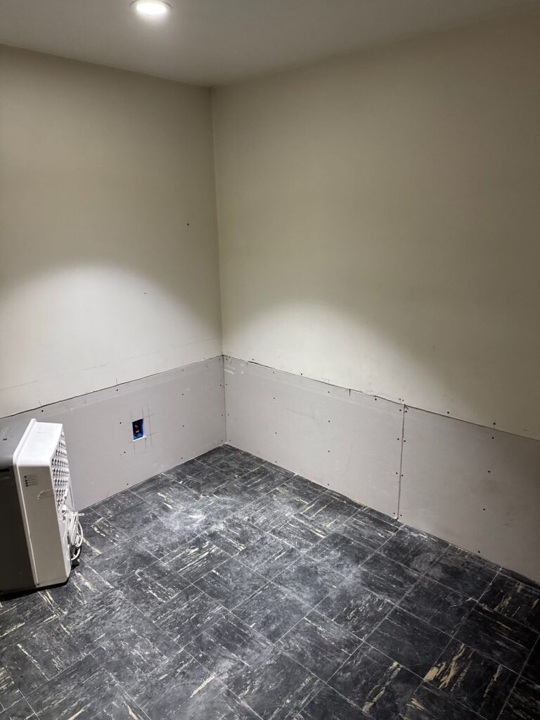 mold remediation minneapolis mn