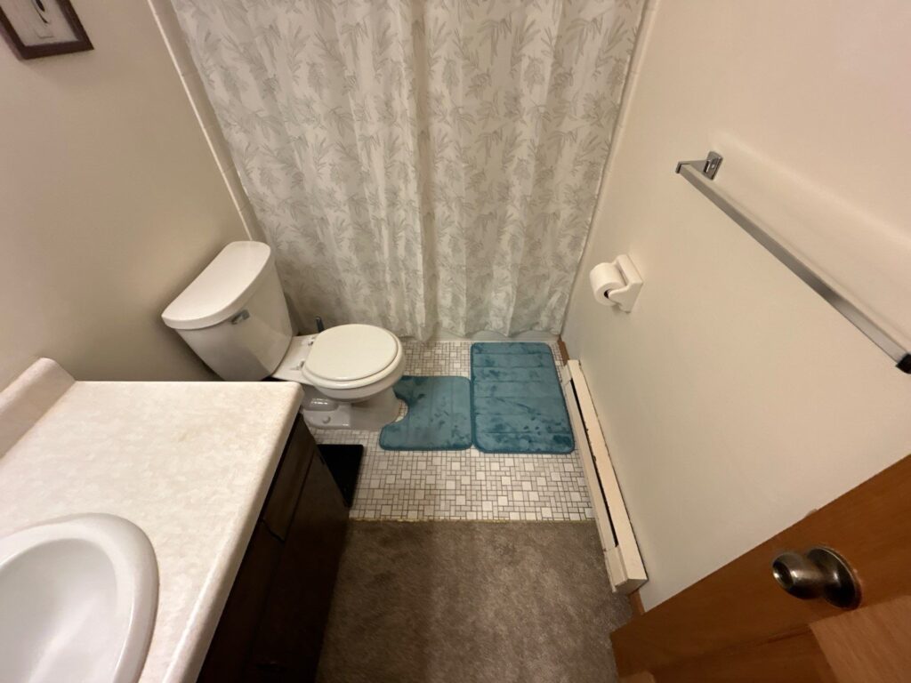 mold remediation wyoming mn
