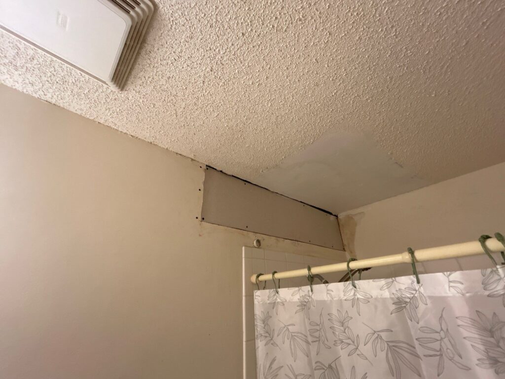 mold remediation wyoming mn