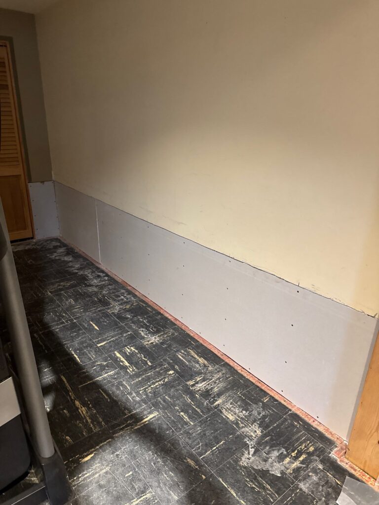 mold remediation minneapolis mn
