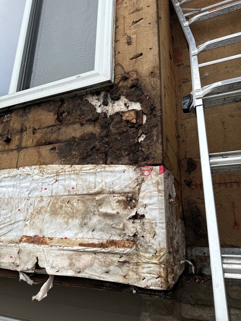 eagan siding revamp
