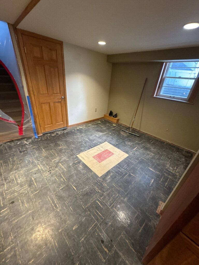 mold remediation minneapolis mn