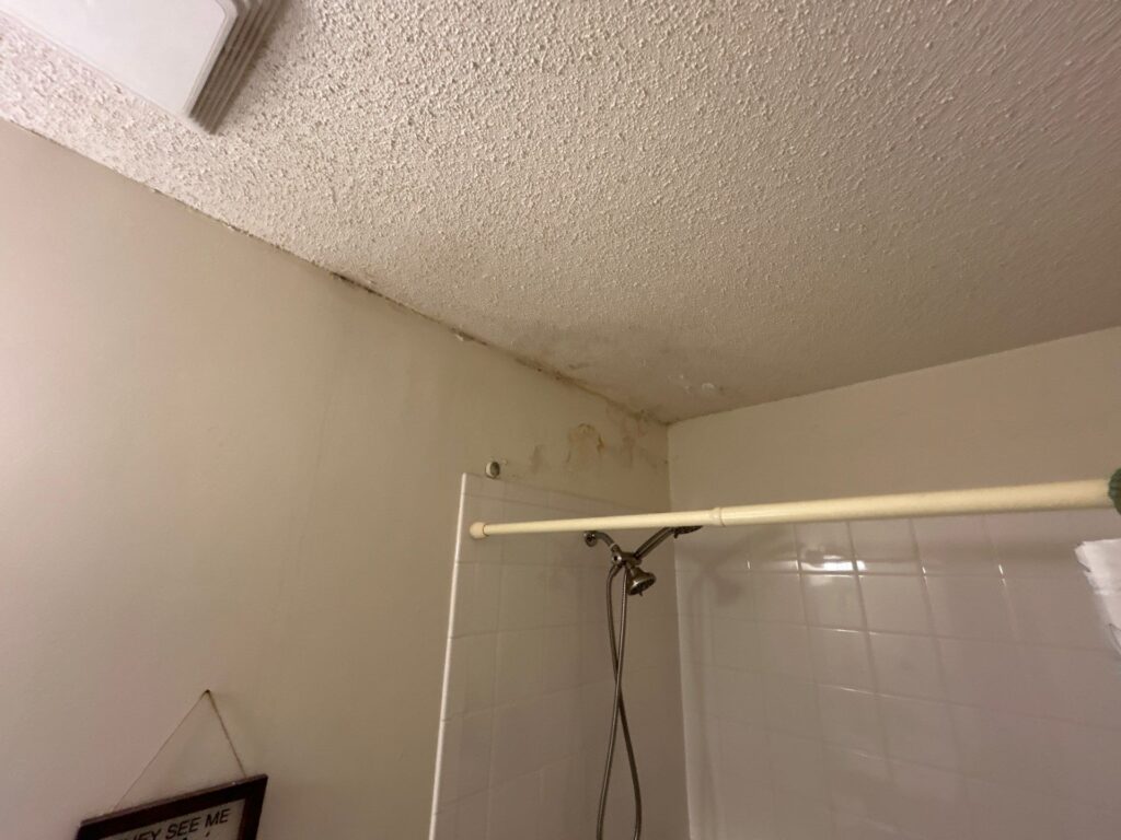 mold remediation wyoming mn