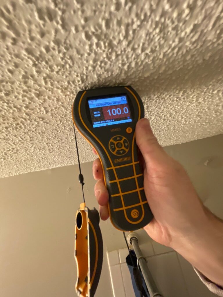 mold remediation wyoming mn