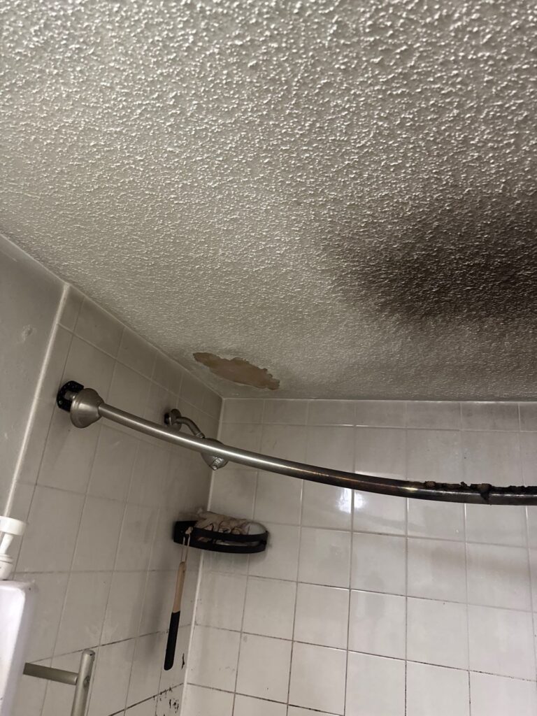 water loss restoration eden prairie
