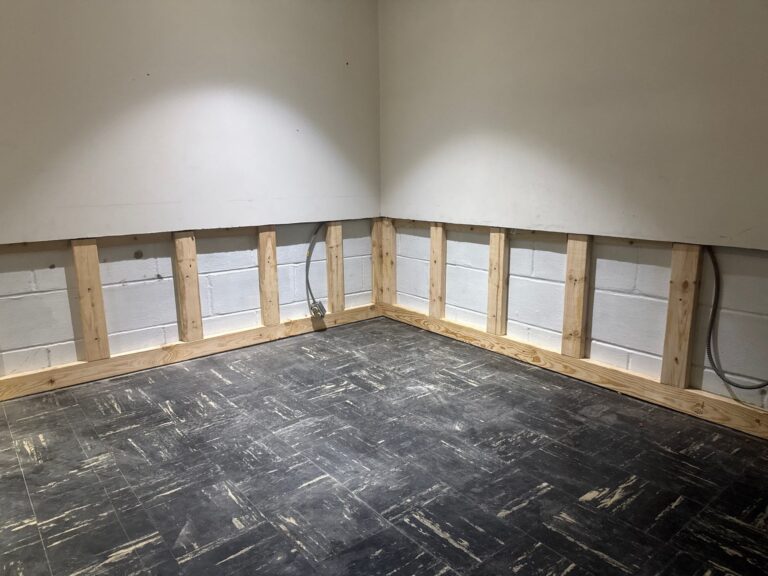 mold remediation minneapolis mn