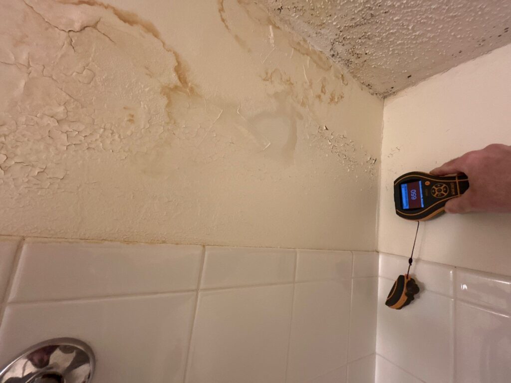 mold remediation wyoming mn