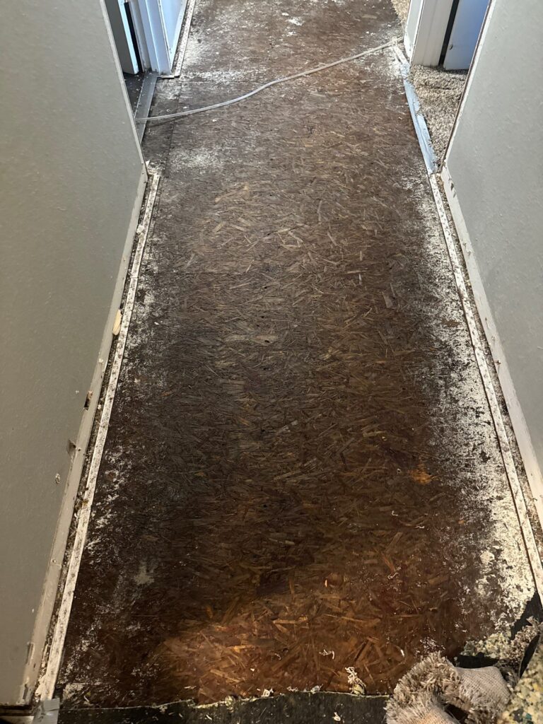 water loss restoration eden prairie