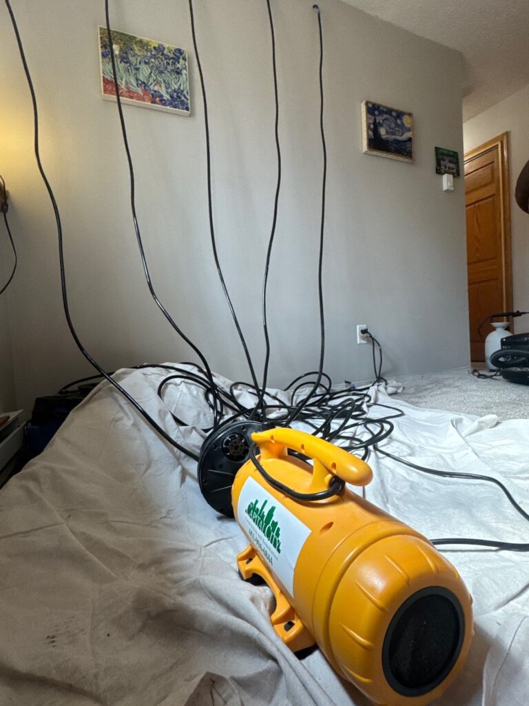 mold remediation wyoming mn